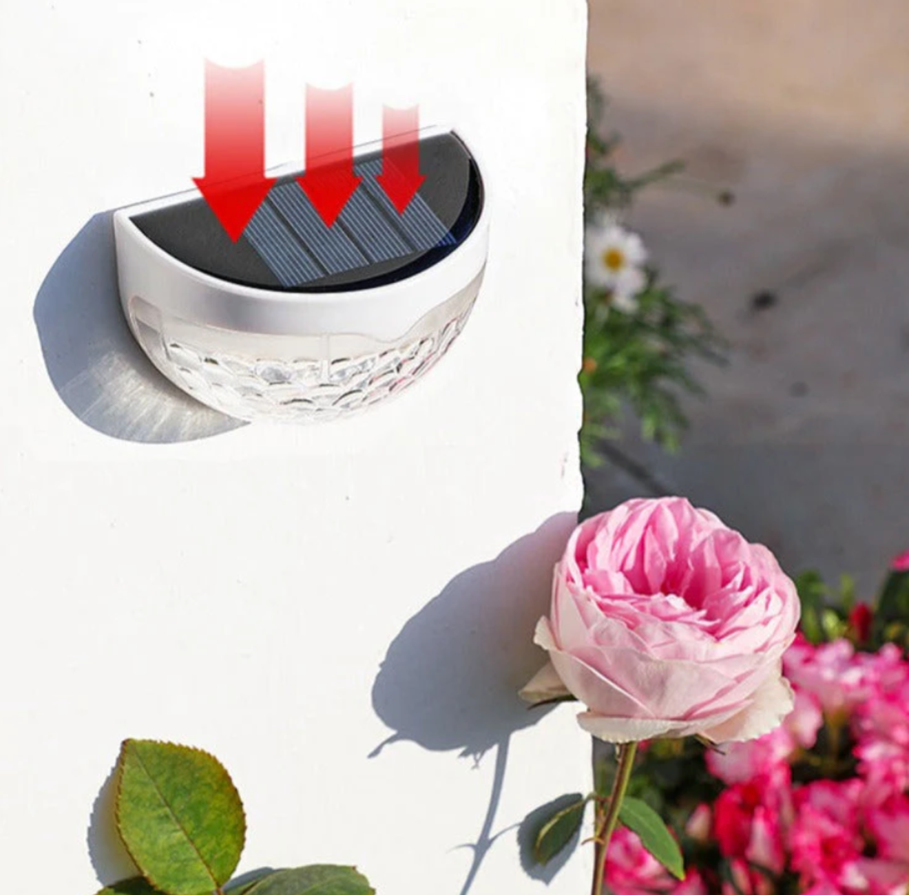 Applique Murale Extérieure – Solvia StepLight